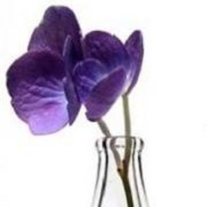 Meet your Posher, Chem